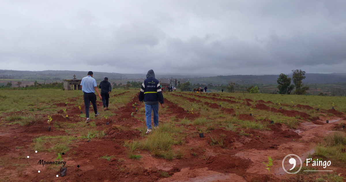 Reboisement - Mangatany - 2025