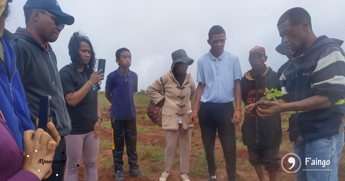 Reboisement - Mangatany  -2025