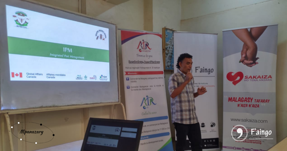 Brains - Innovation - Management